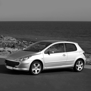 Peugeot 307 00-